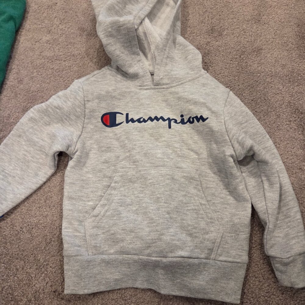 Champion hoodie